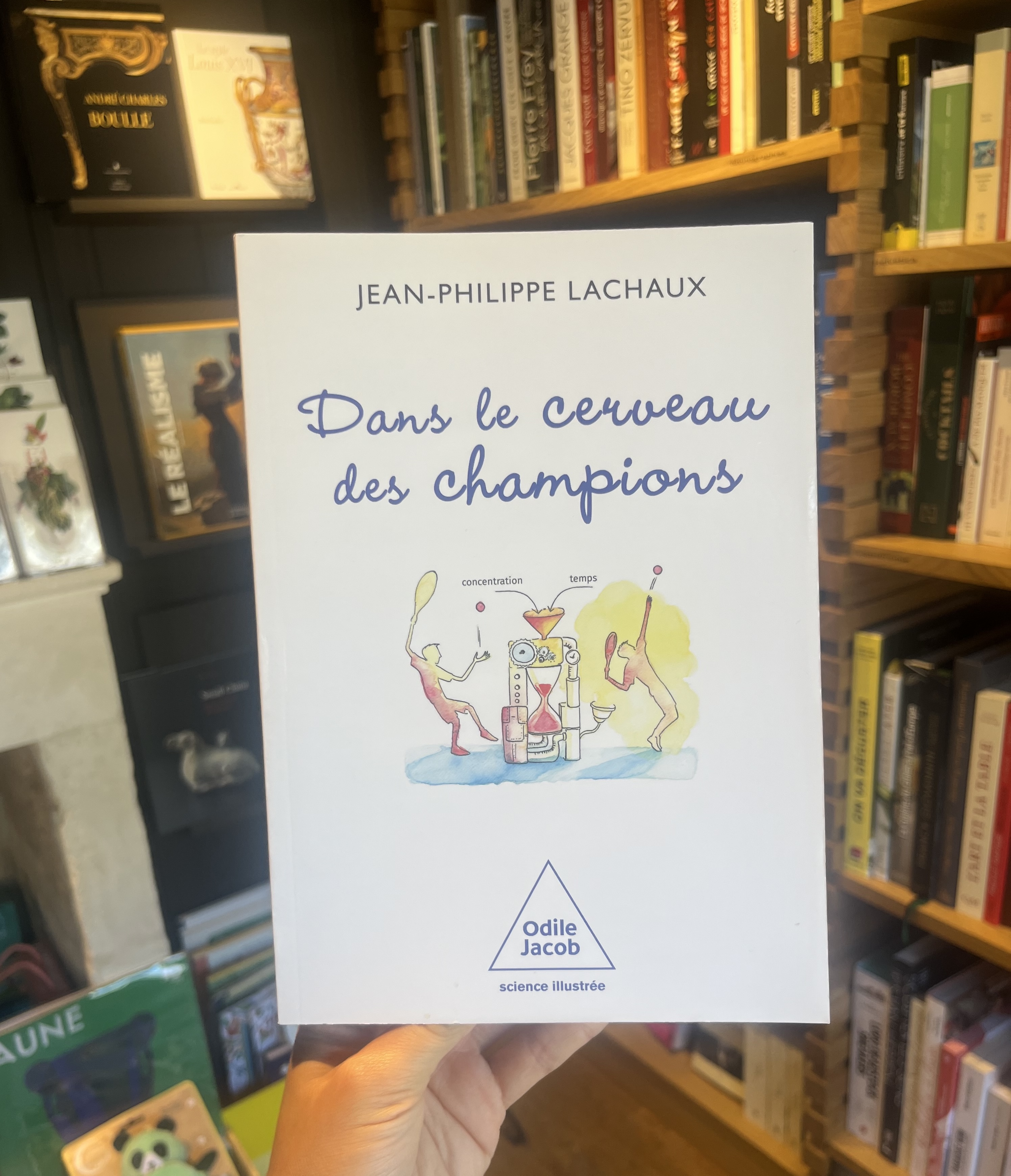 Dans le cerveau des champions