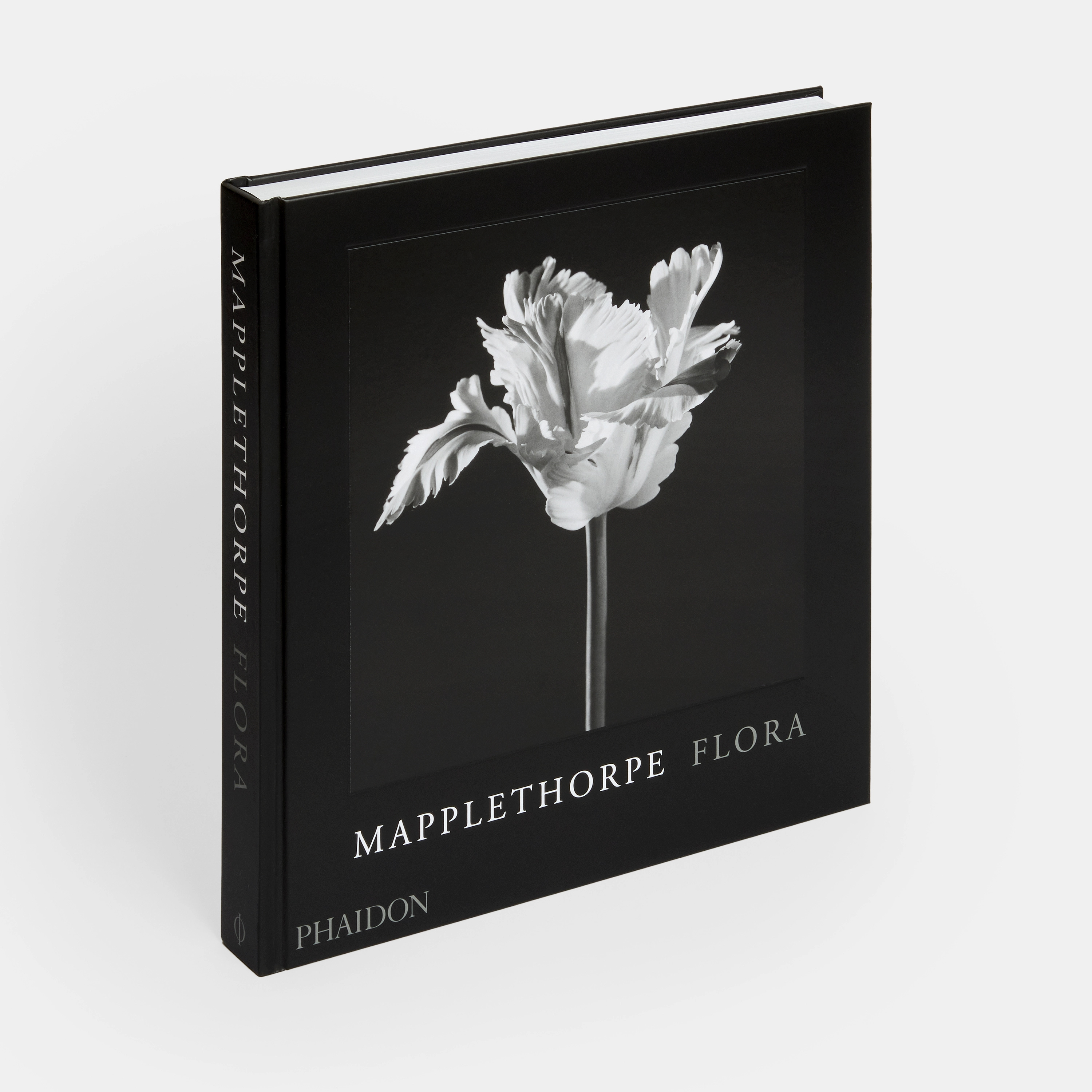 Flora, les fleurs de Mapplethorpe