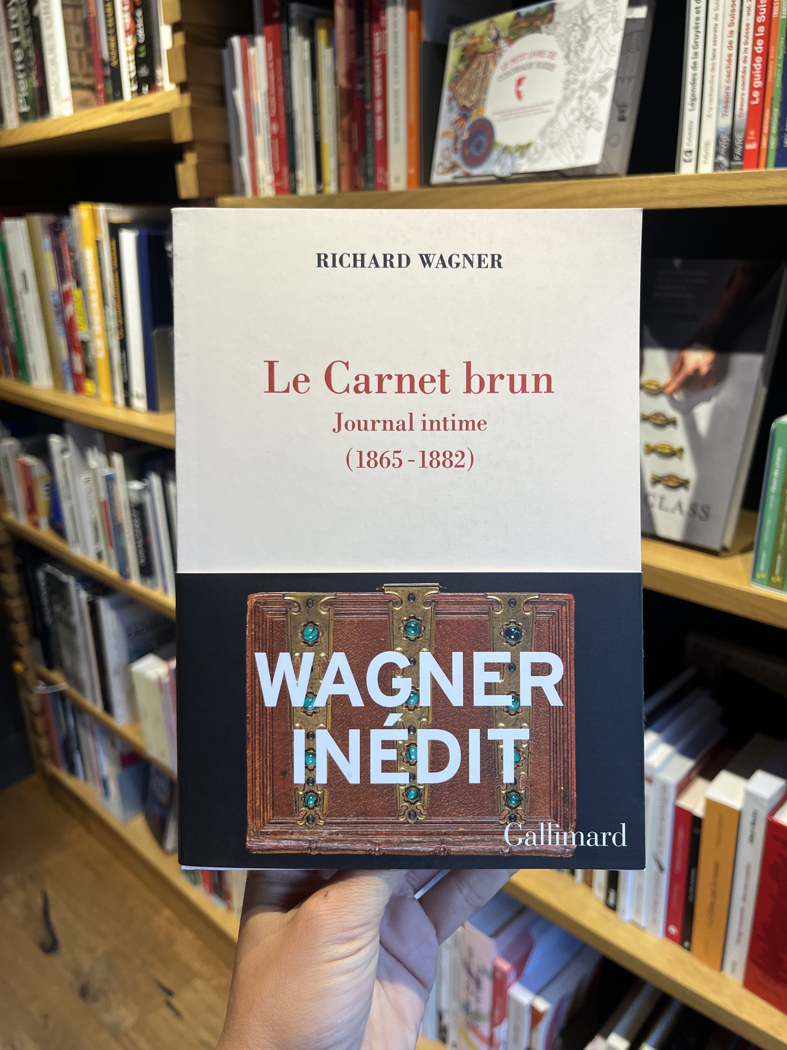 Le Carnet brun: Journal intime (1865 -1882)